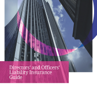 D&O Liability Insurance Guide