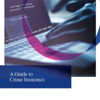 2020 Crime Insurance Guide